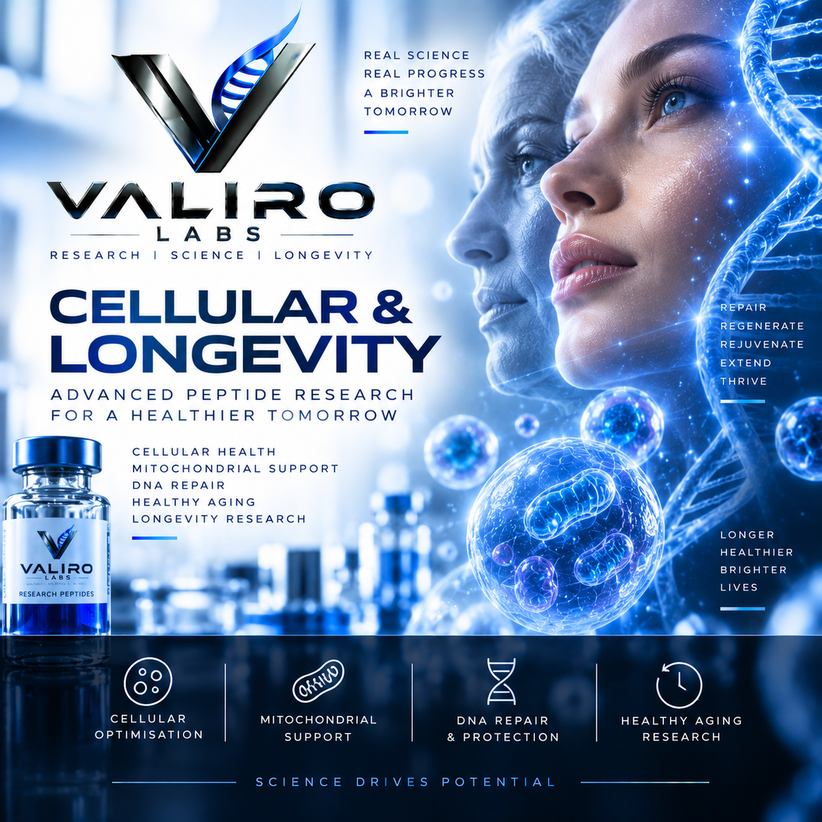 Cellular & Longevity Research