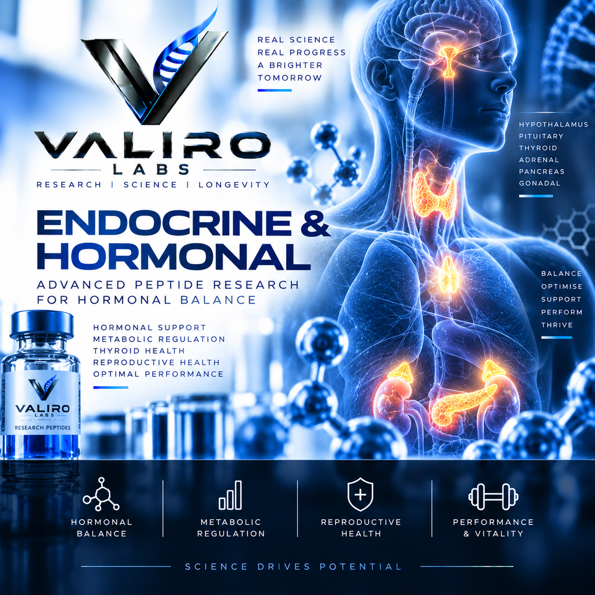 Endocrine & Hormonal Research