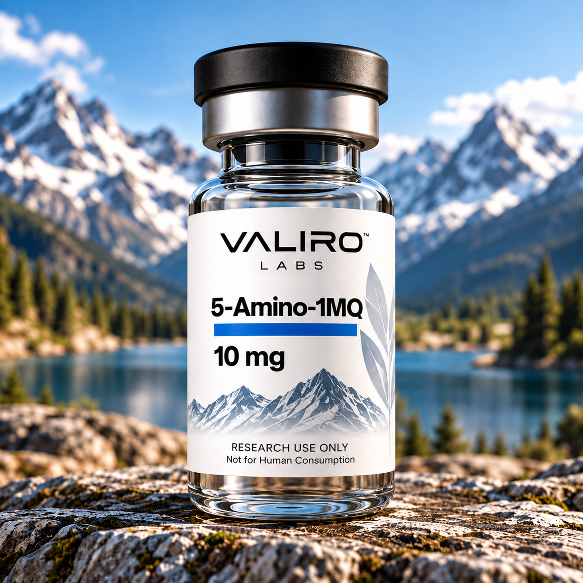 Valiro Labs 5-Amino-1MQ 10mg research compound vial with mountain background