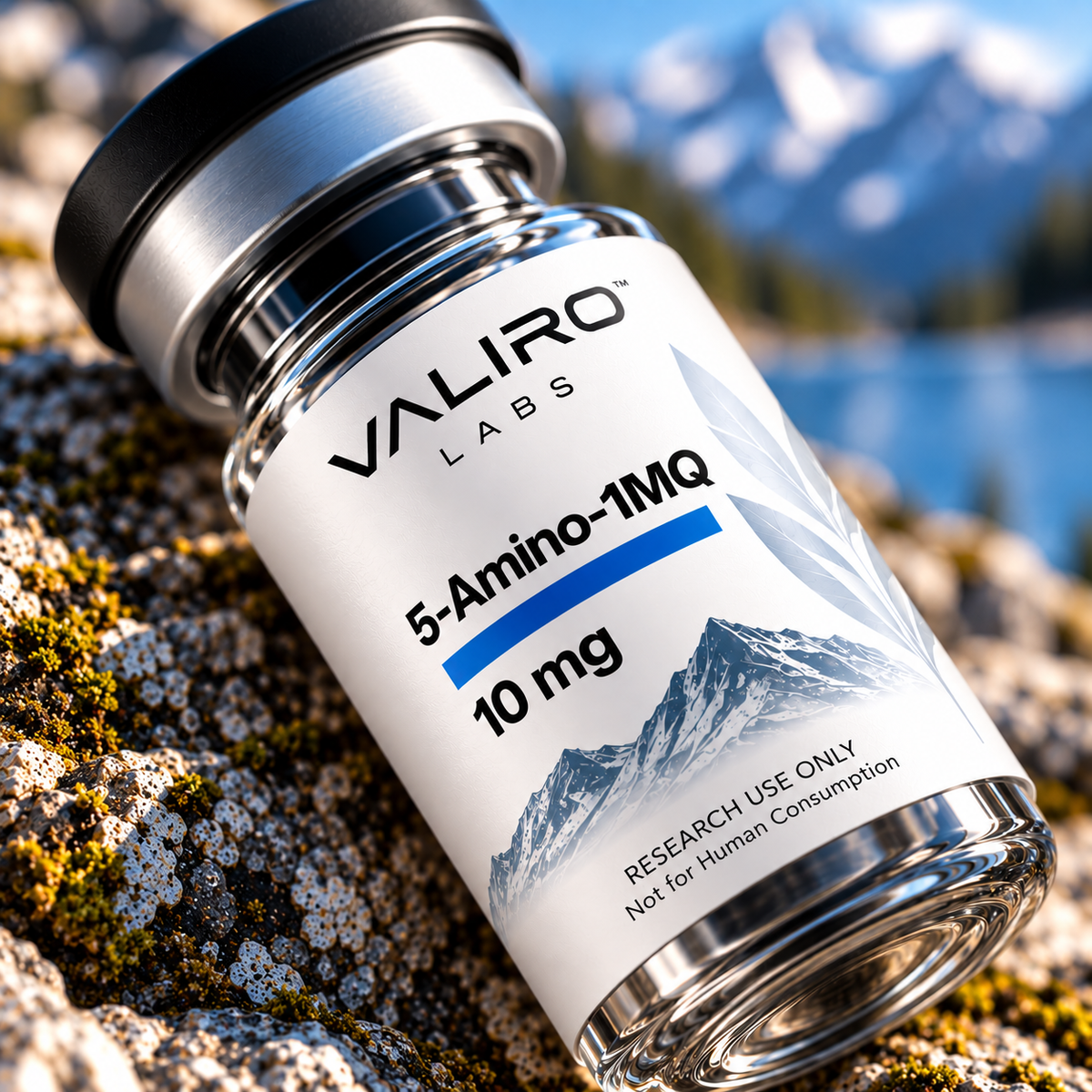 Valiro Labs 5-Amino-1MQ 10mg research compound vial displayed on rocky mountain background