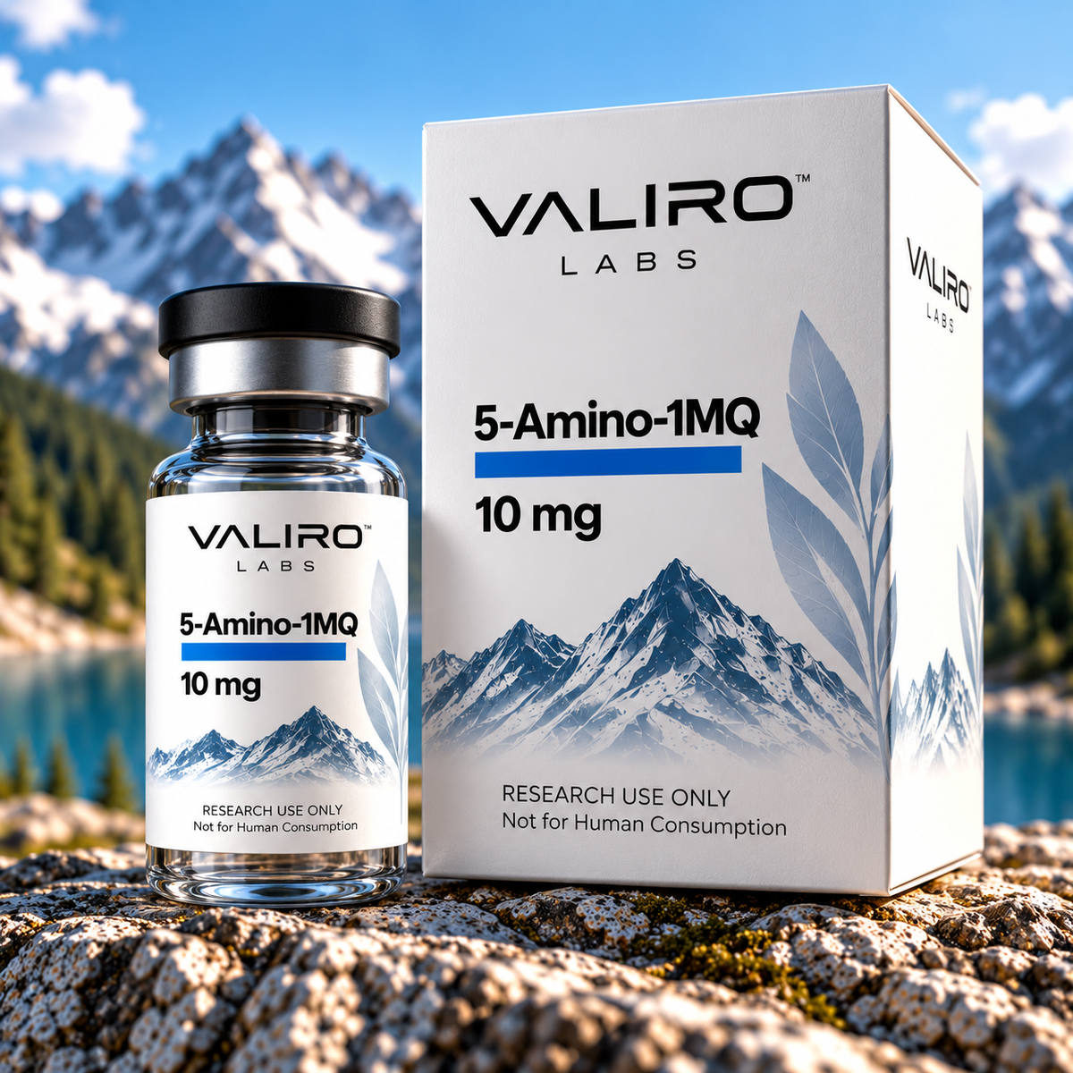 Valiro Labs 5-Amino-1MQ 10mg research compound vial and product box with mountain background