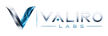 Valiro Labs. - Home
